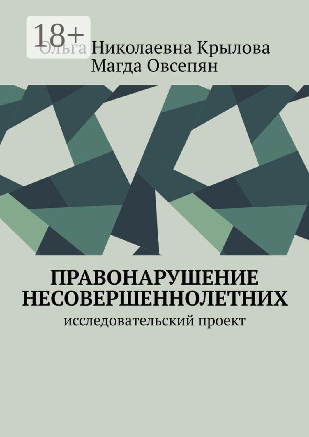 Обложка книги «Правонарушение несовершеннолетних. Исследовательский проект»