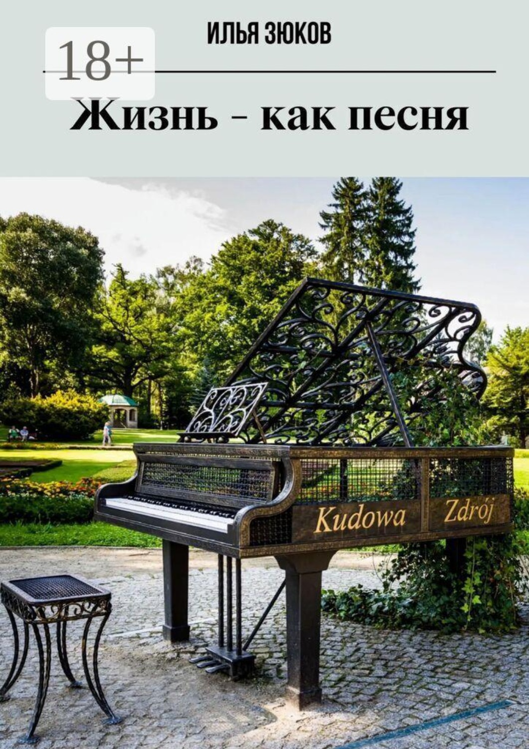 Обложка книги «Жизнь — как песня»