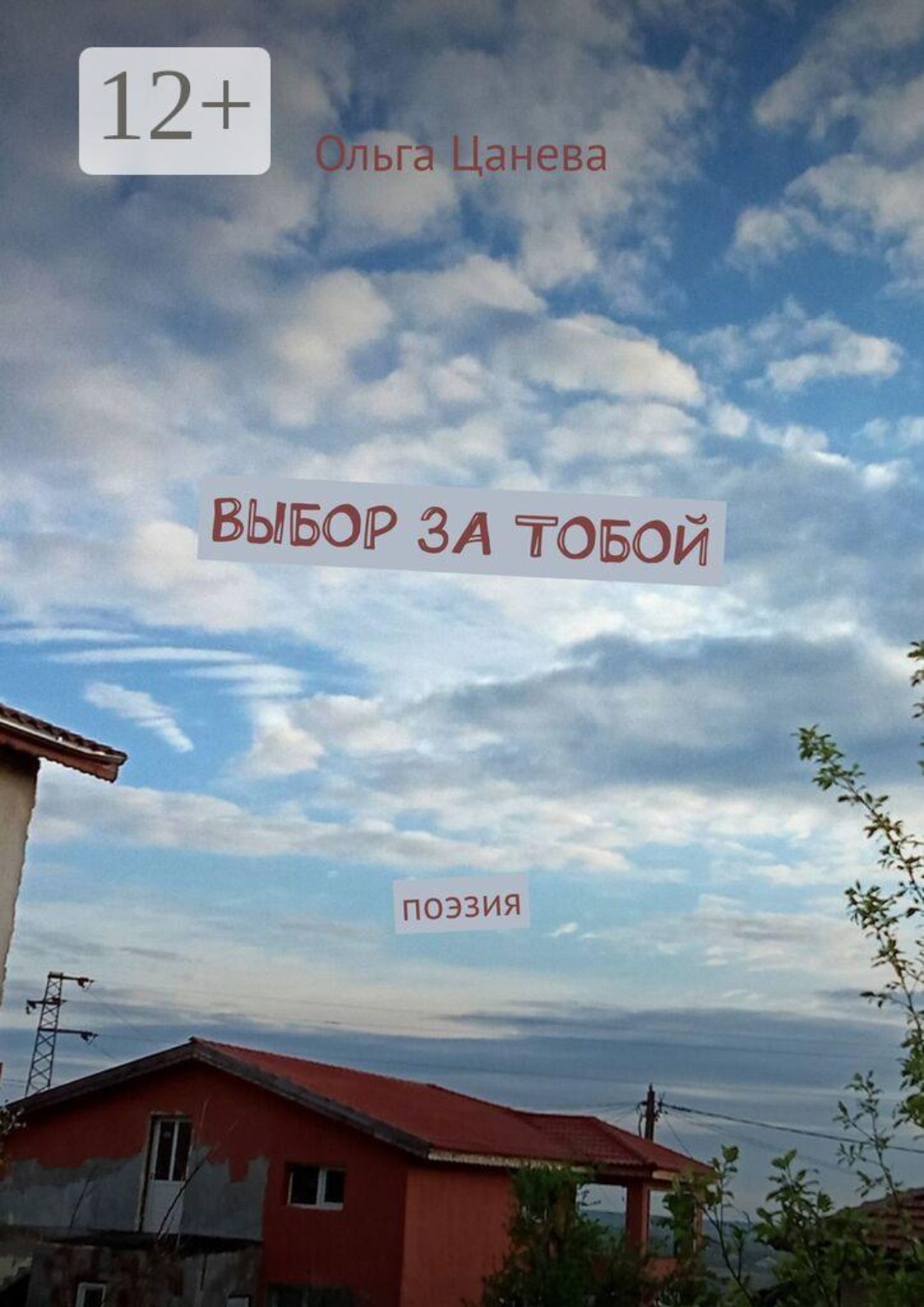 Обложка книги «Выбор за тобой. Поэзия»