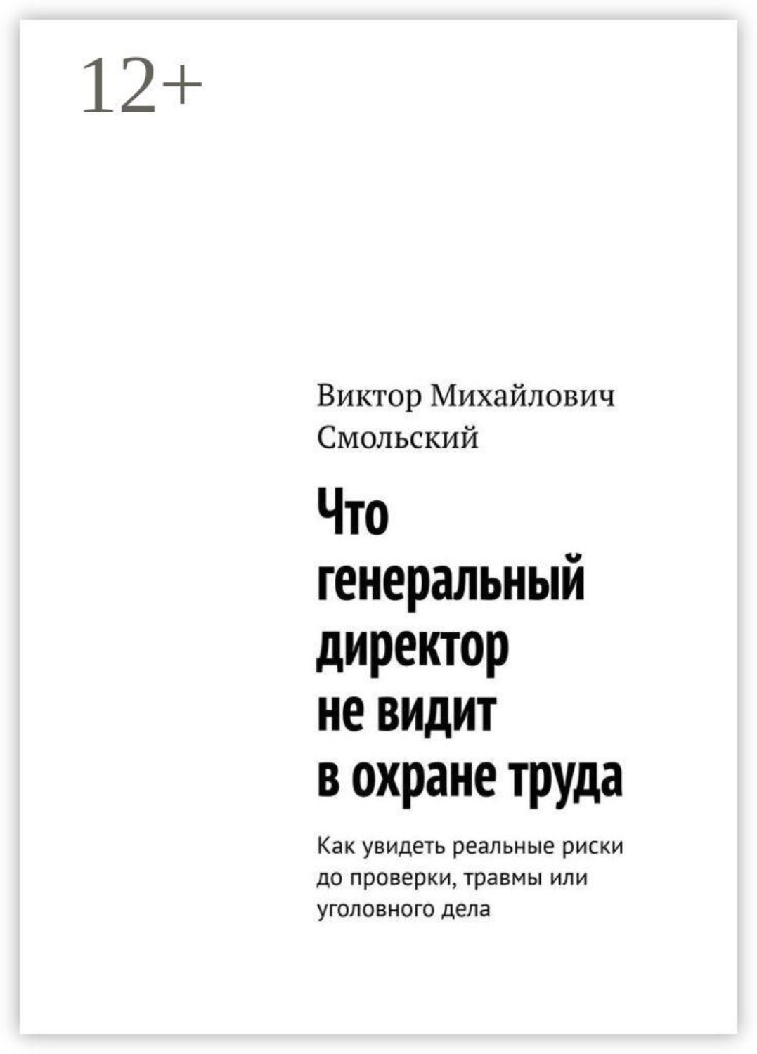 Обложка книги «Что генеральный директор не видит в охране труда. Как увидеть реальные риски до проверки, травмы или уголовного дела»