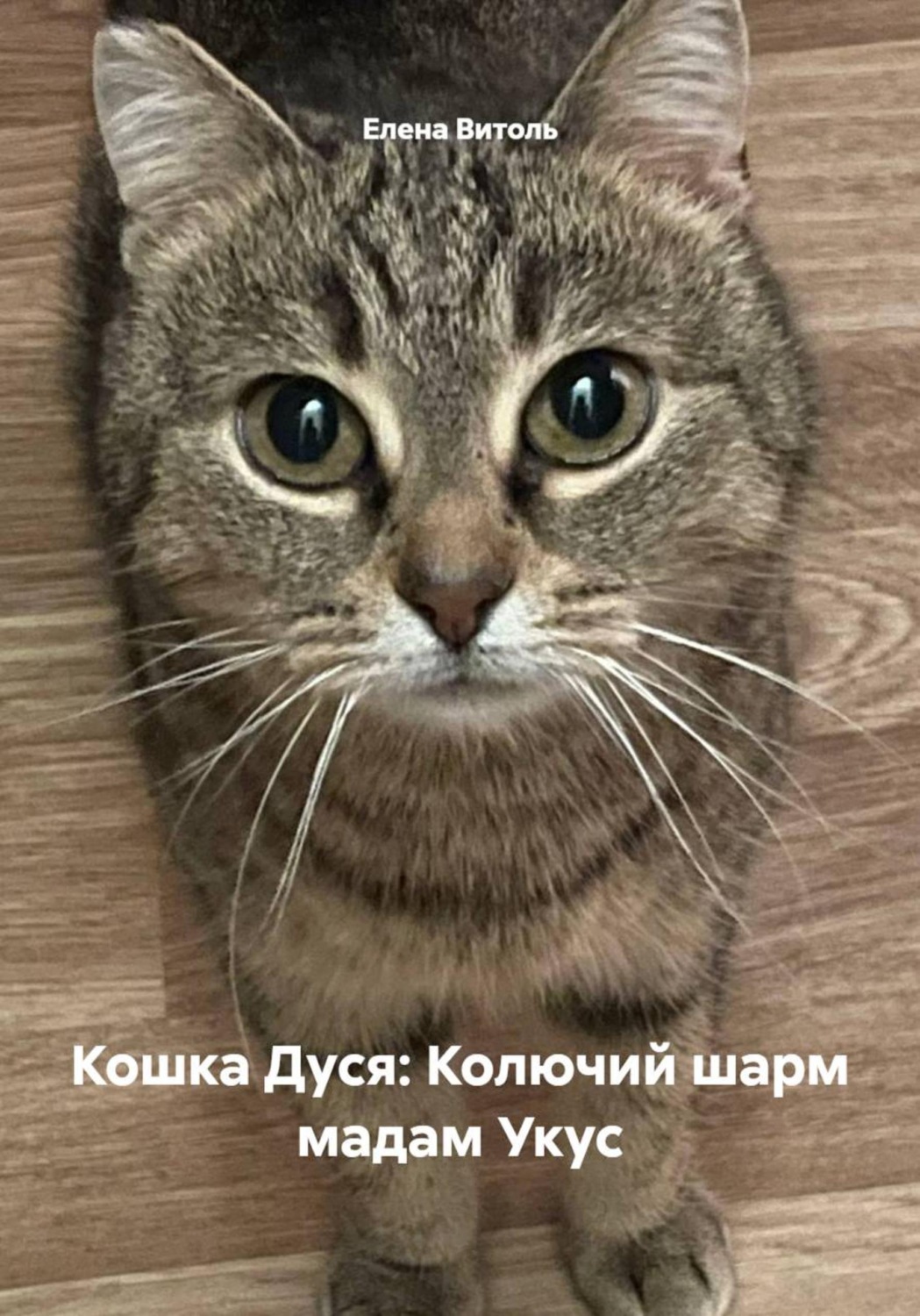 Обложка книги «Кошка Дуся: Колючий шарм мадам Укус»