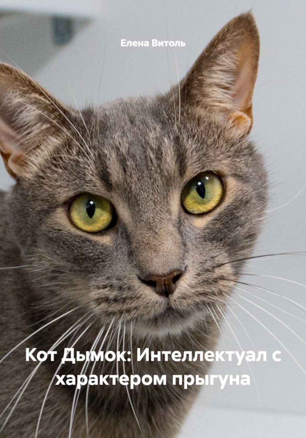 Обложка книги «Кот Дымок: Интеллектуал с характером прыгуна»