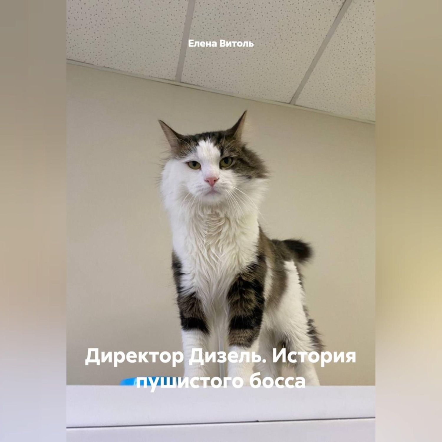 Обложка книги «Директор Дизель. История пушистого босса»