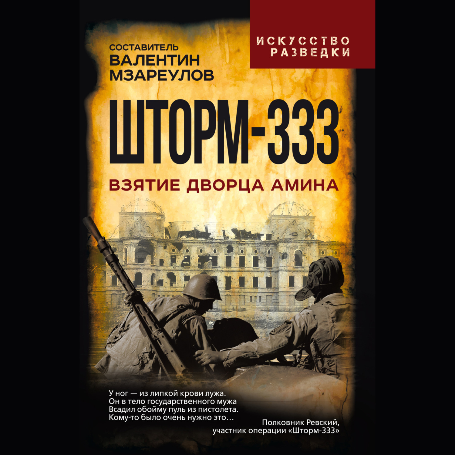 Обложка книги «Шторм-333. Взятие дворца Амина»
