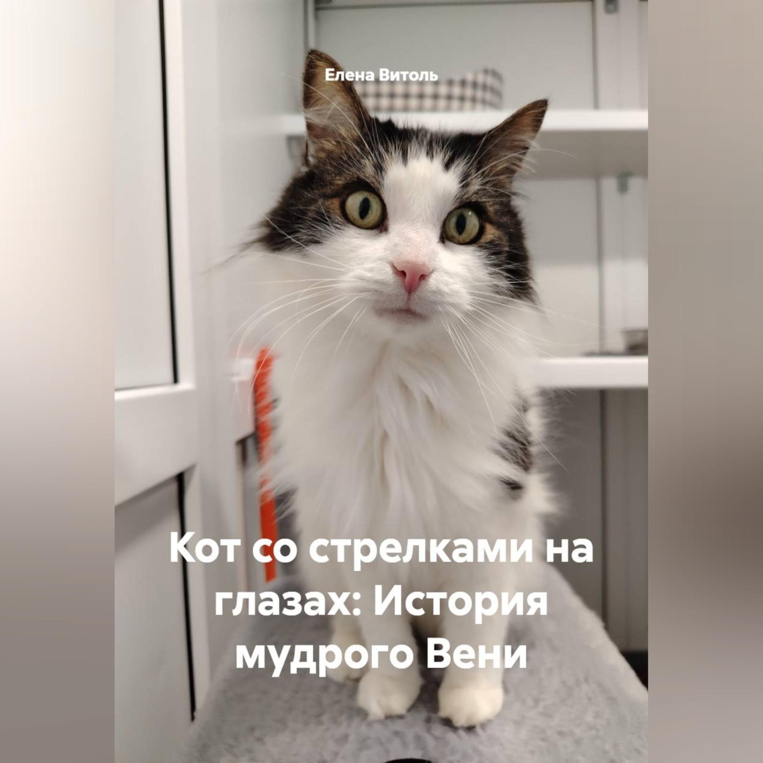 Обложка книги «Кот со стрелками на глазах: История мудрого Вени»