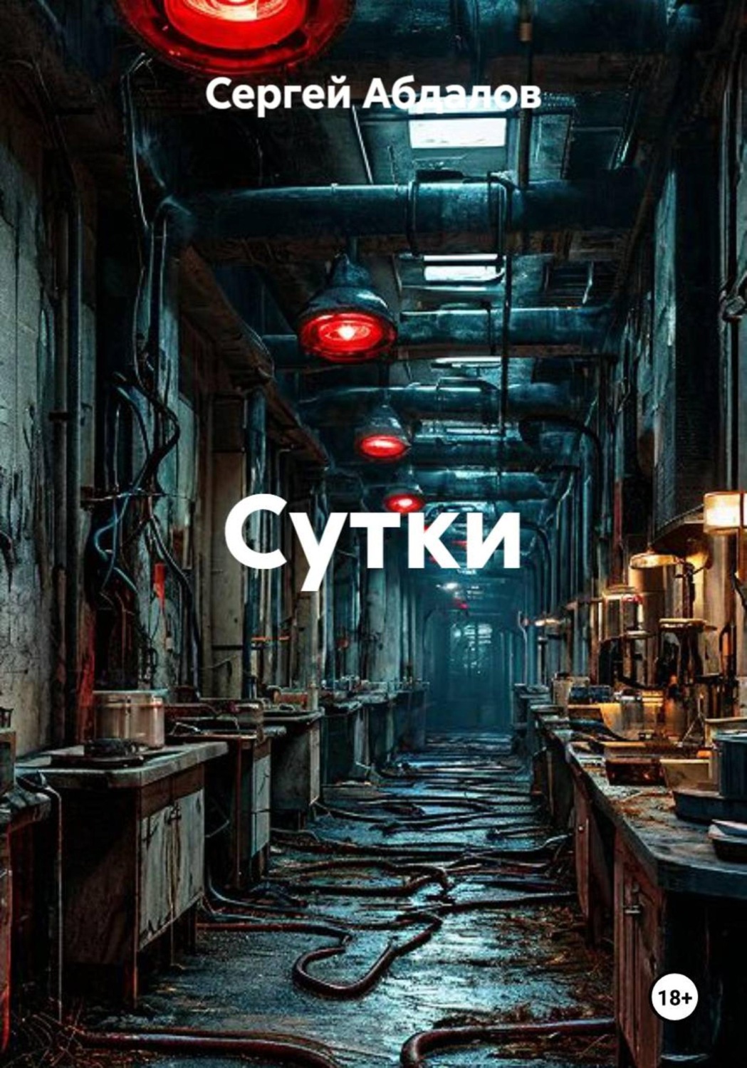 Обложка книги «Сутки»