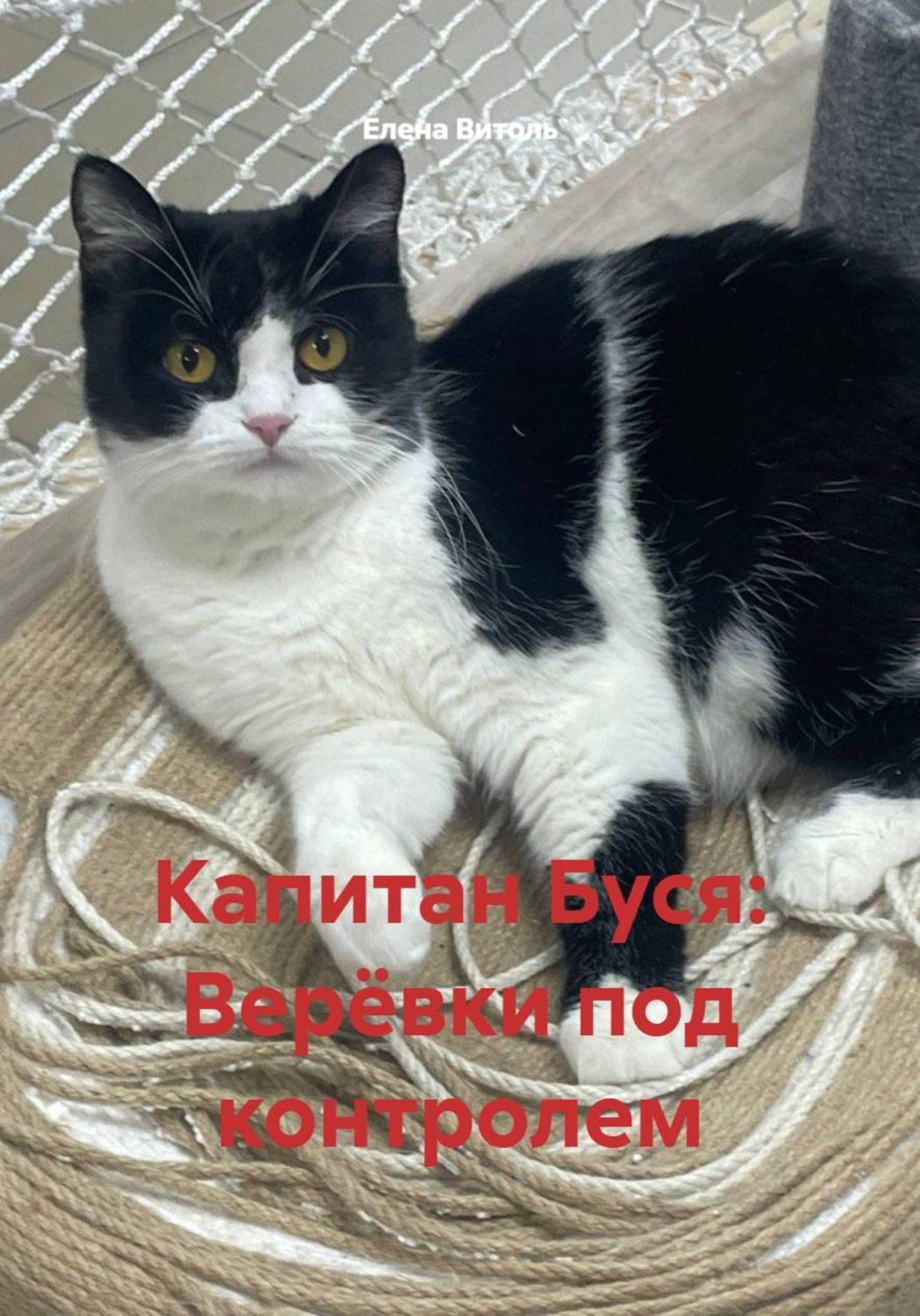 Обложка книги «Капитан Буся: Верёвки под контролем»