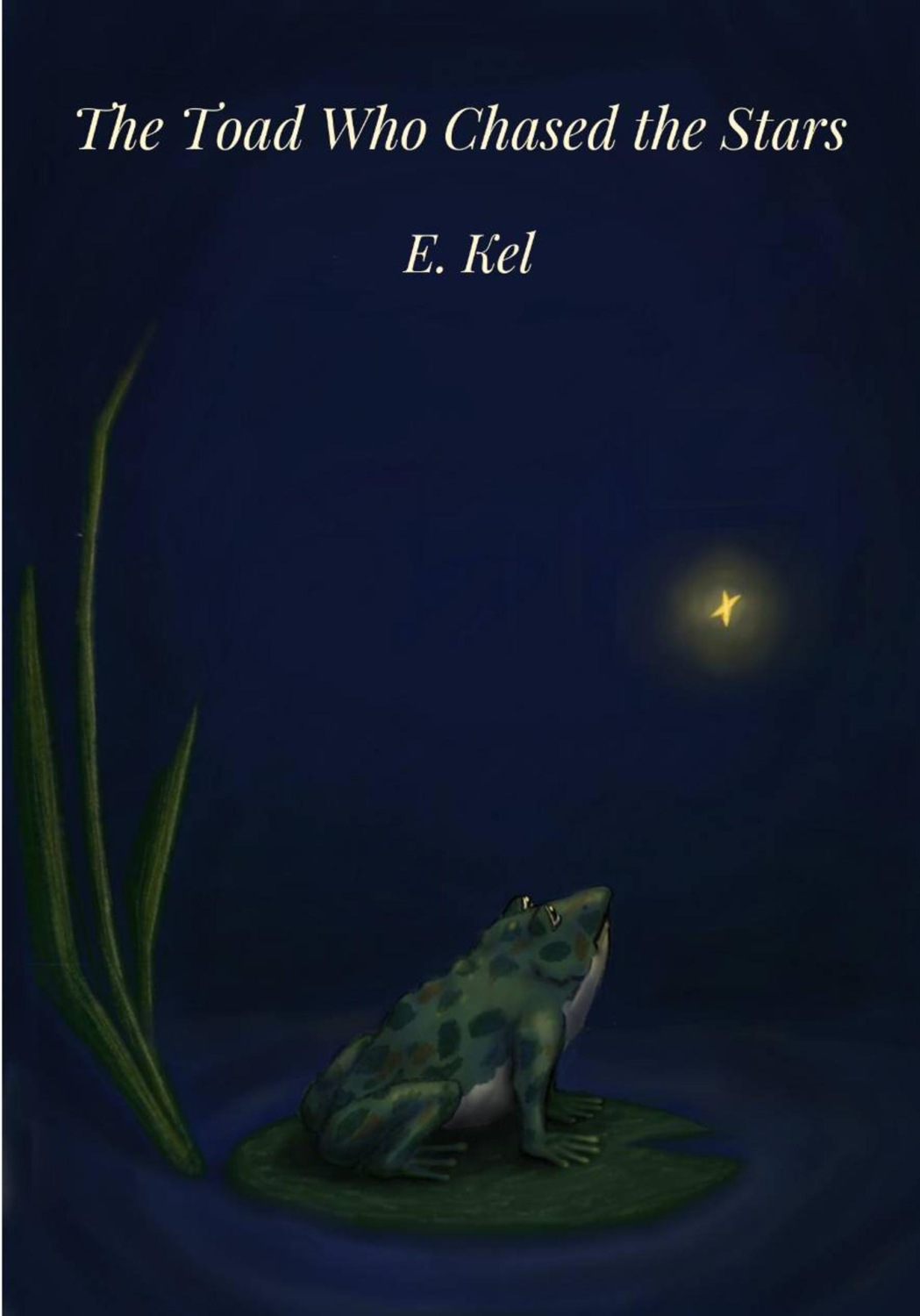 Обложка книги «The Toad Who Chased the Stars»