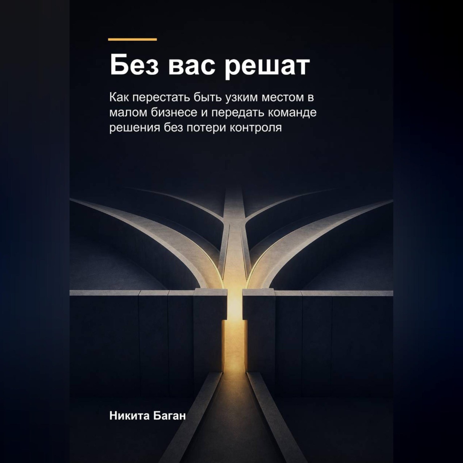 Обложка книги «Без вас решат»