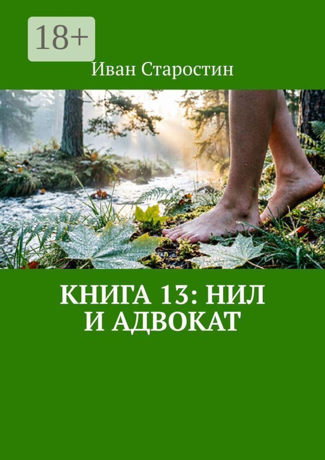 Обложка книги «Книга 13: Нил и адвокат»