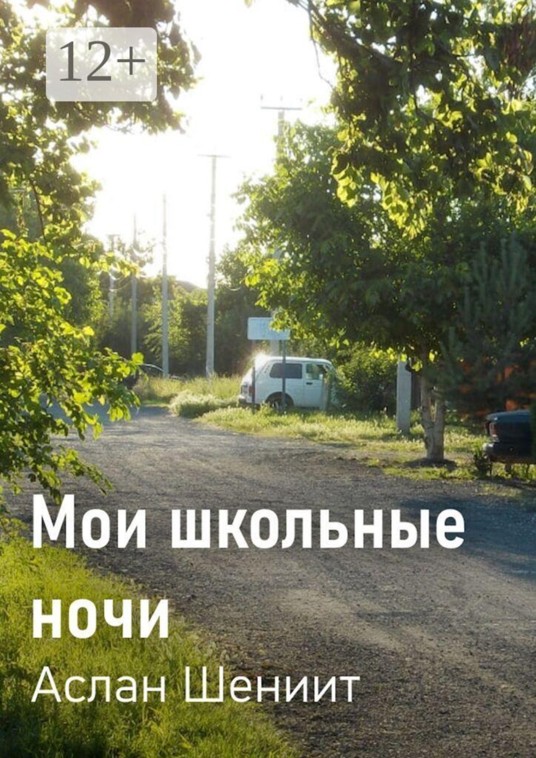 Обложка книги «Мои школьные ночи»