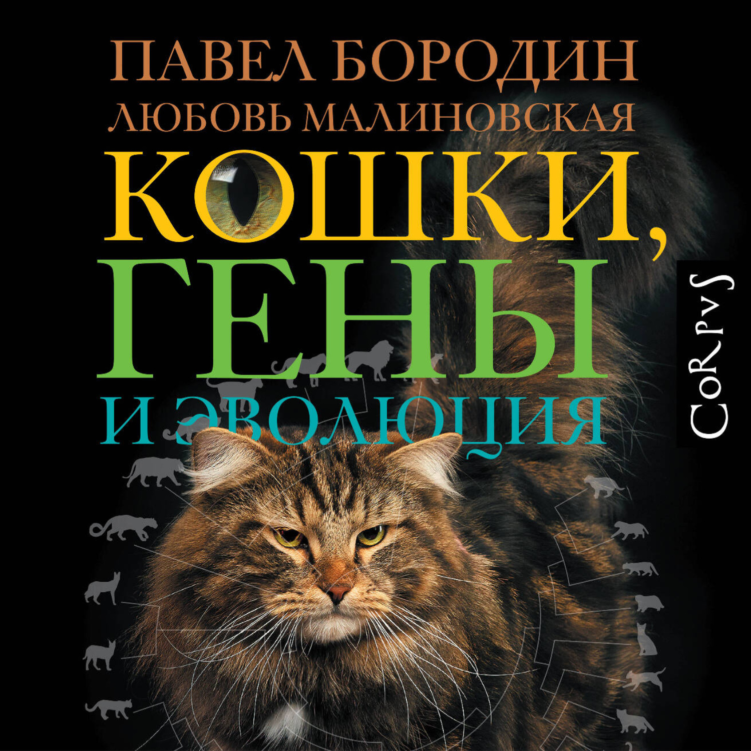 Обложка книги «Кошки, гены и эволюция»