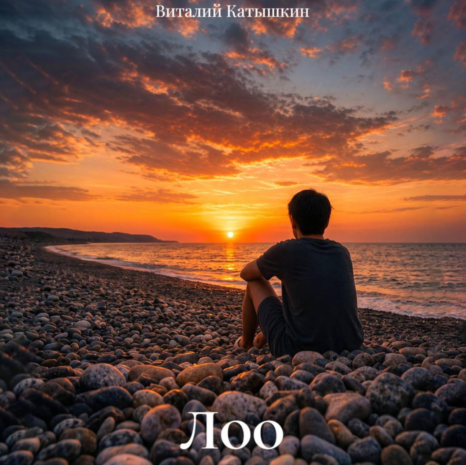 Обложка книги «Лоо»