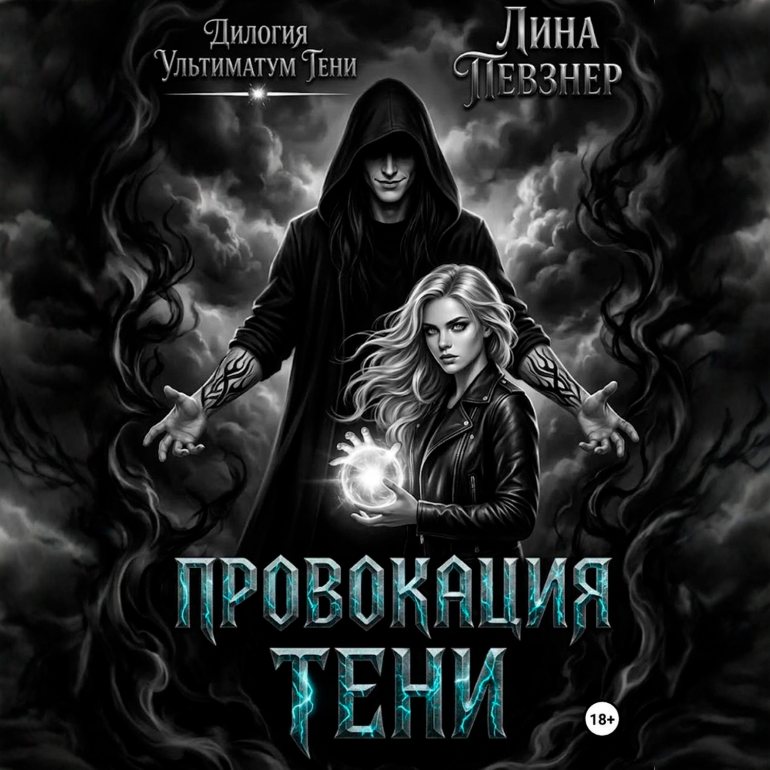 Обложка книги «Провокация тени»