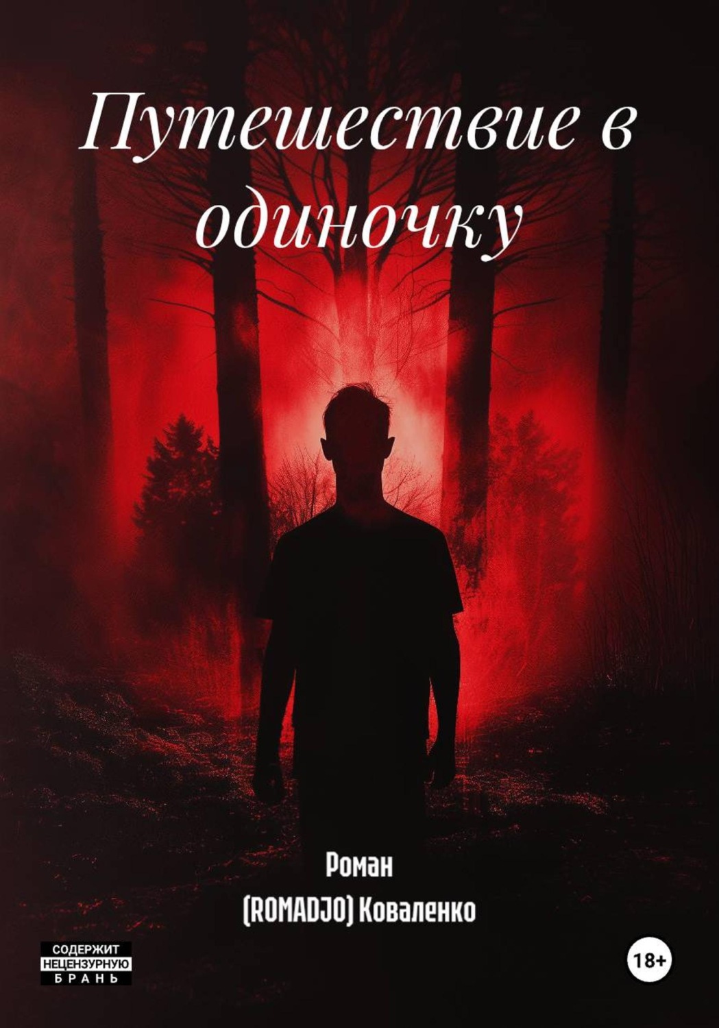 Обложка книги «Путешествие в одиночку»