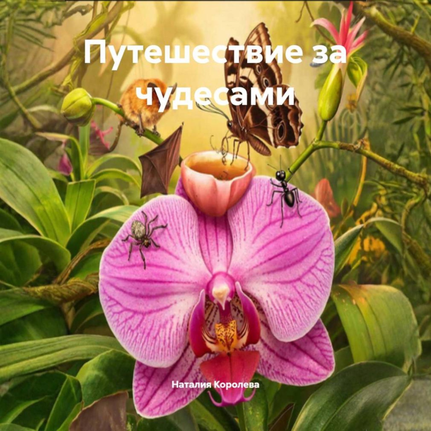 Обложка книги «Путешествие за чудесами»