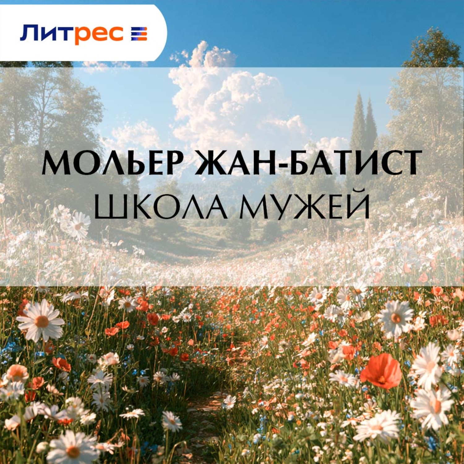Обложка книги «Школа мужей»