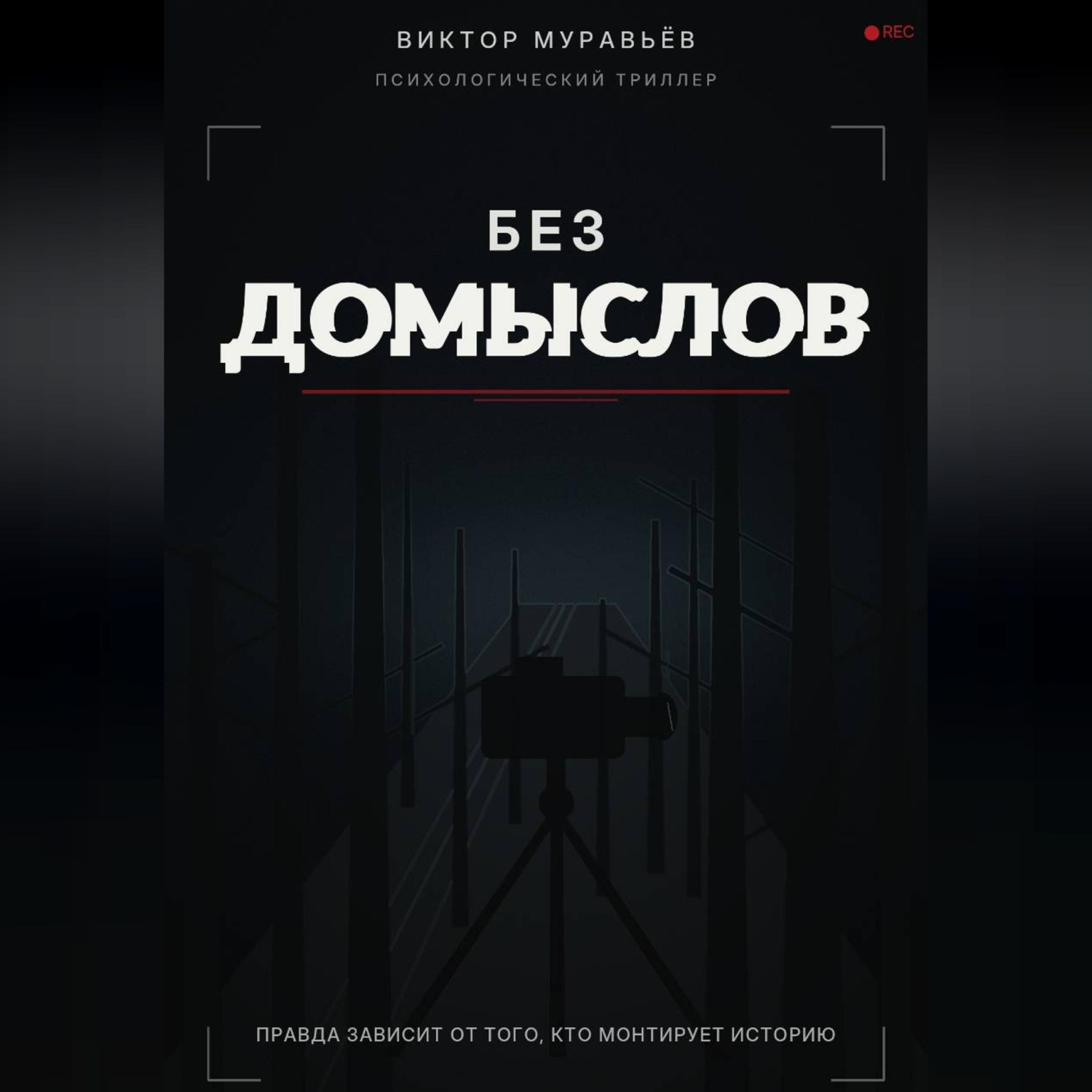 Обложка книги «Без домыслов»