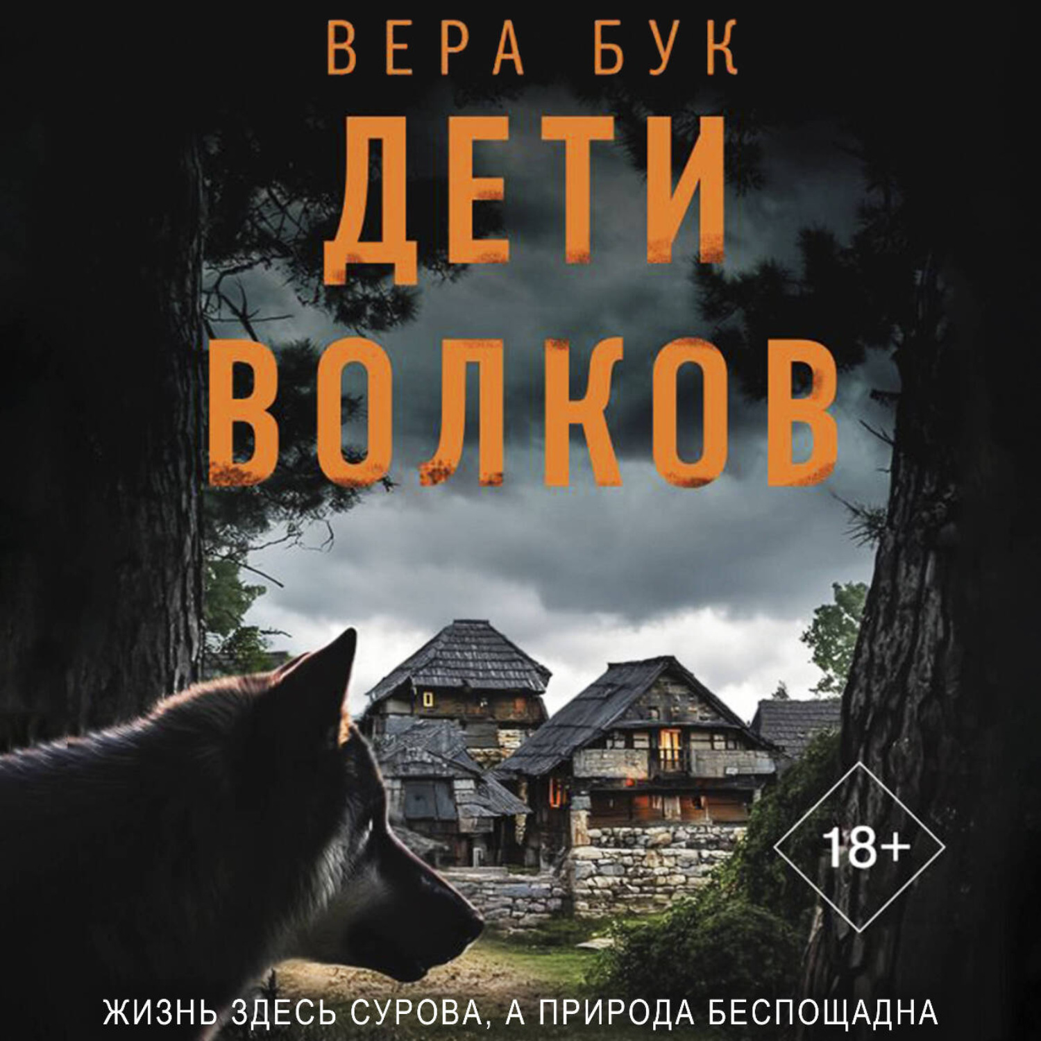 Обложка книги «Дети волков»