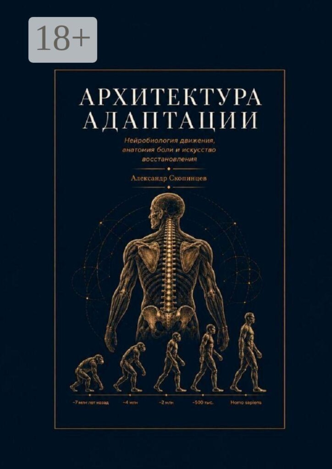 Обложка книги «Архитектура адаптации. Нейробиология движения, анатомия боли и искусство восстановления»