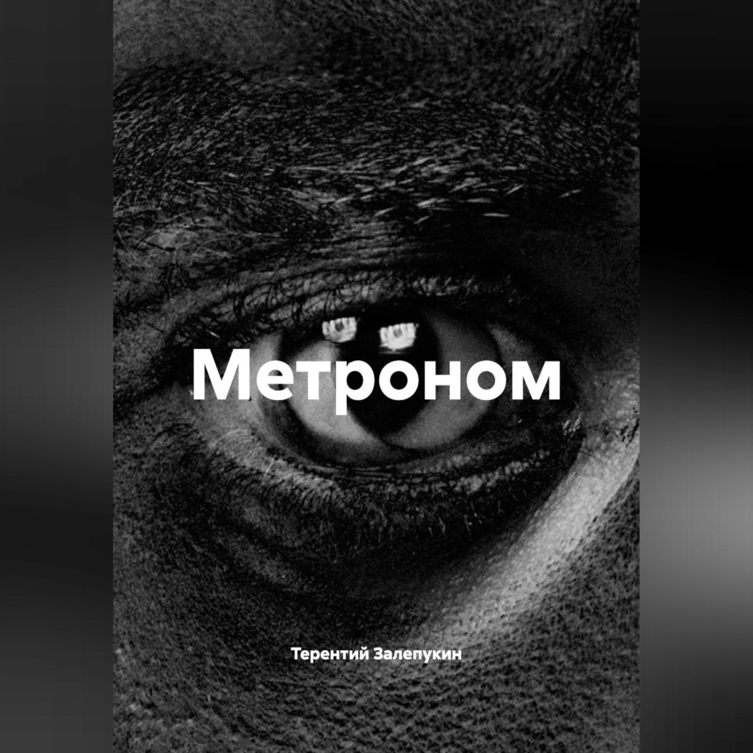 Обложка книги «Метроном»