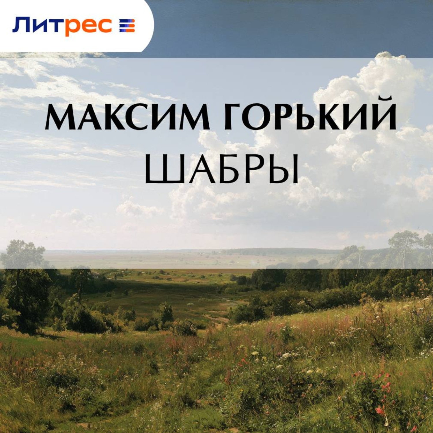 Обложка книги «Шабры»