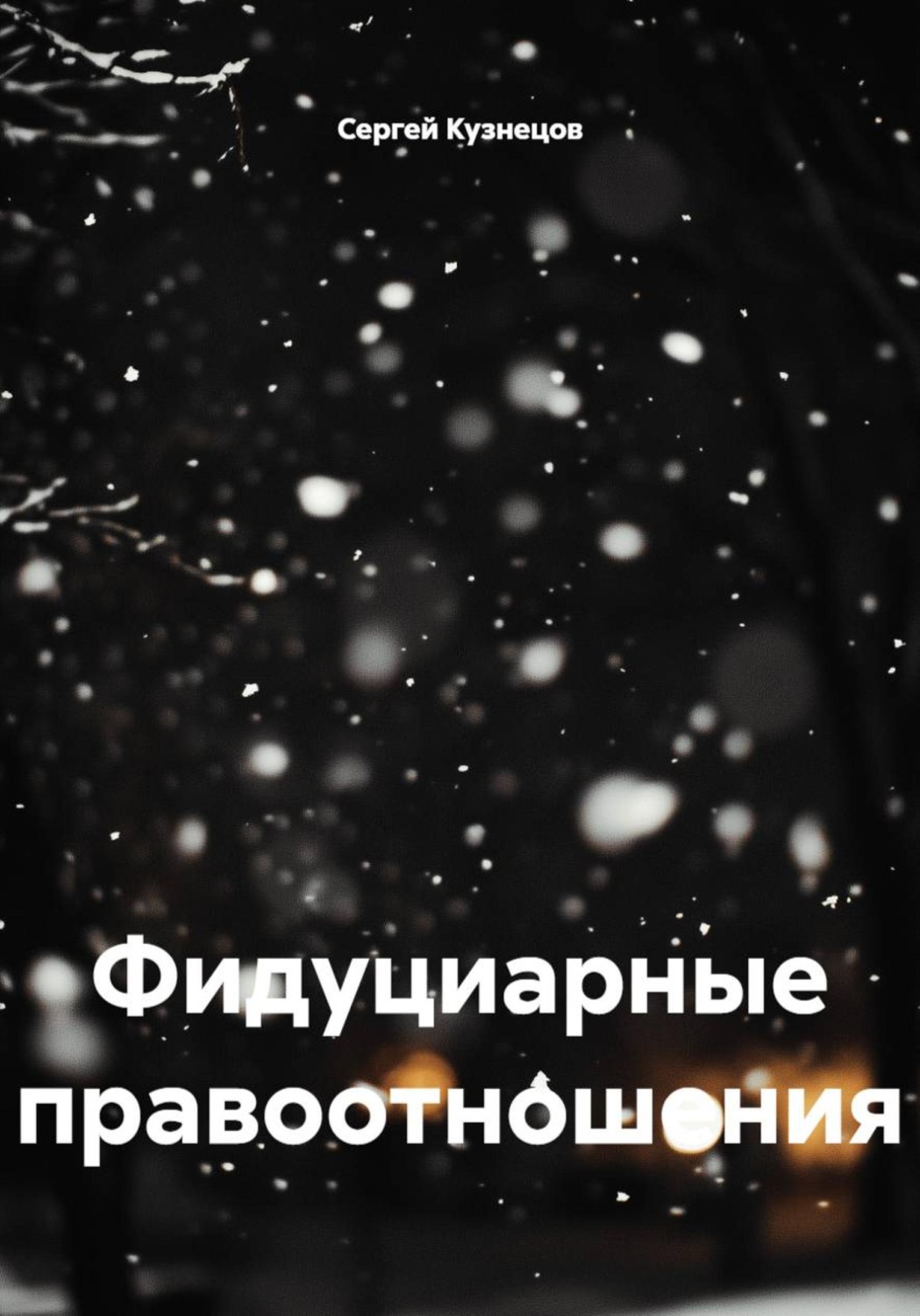 Обложка книги «Фидуциарные правоотношения»