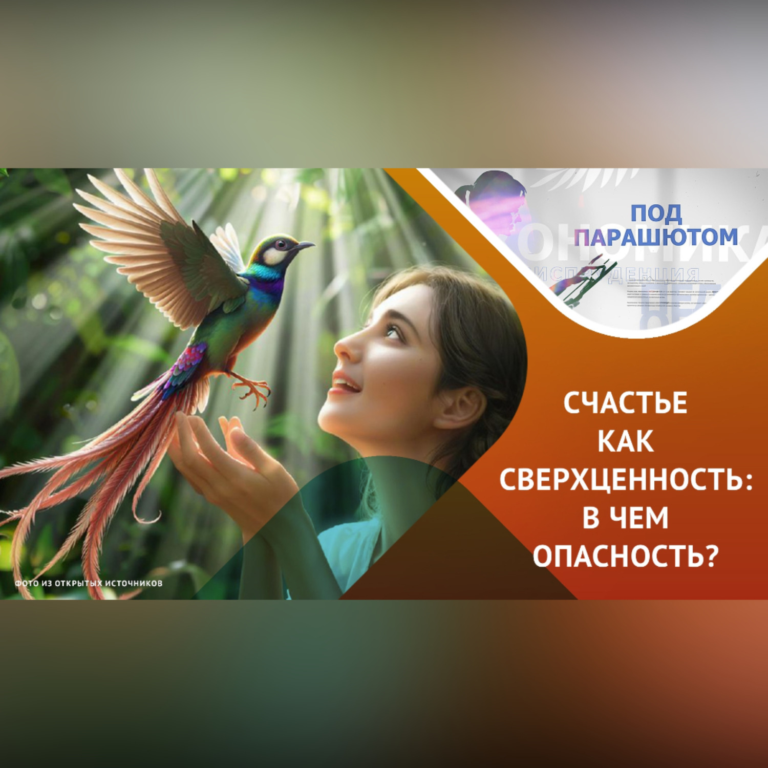 Обложка книги «Погоня за счастьем: что нужно знать!»