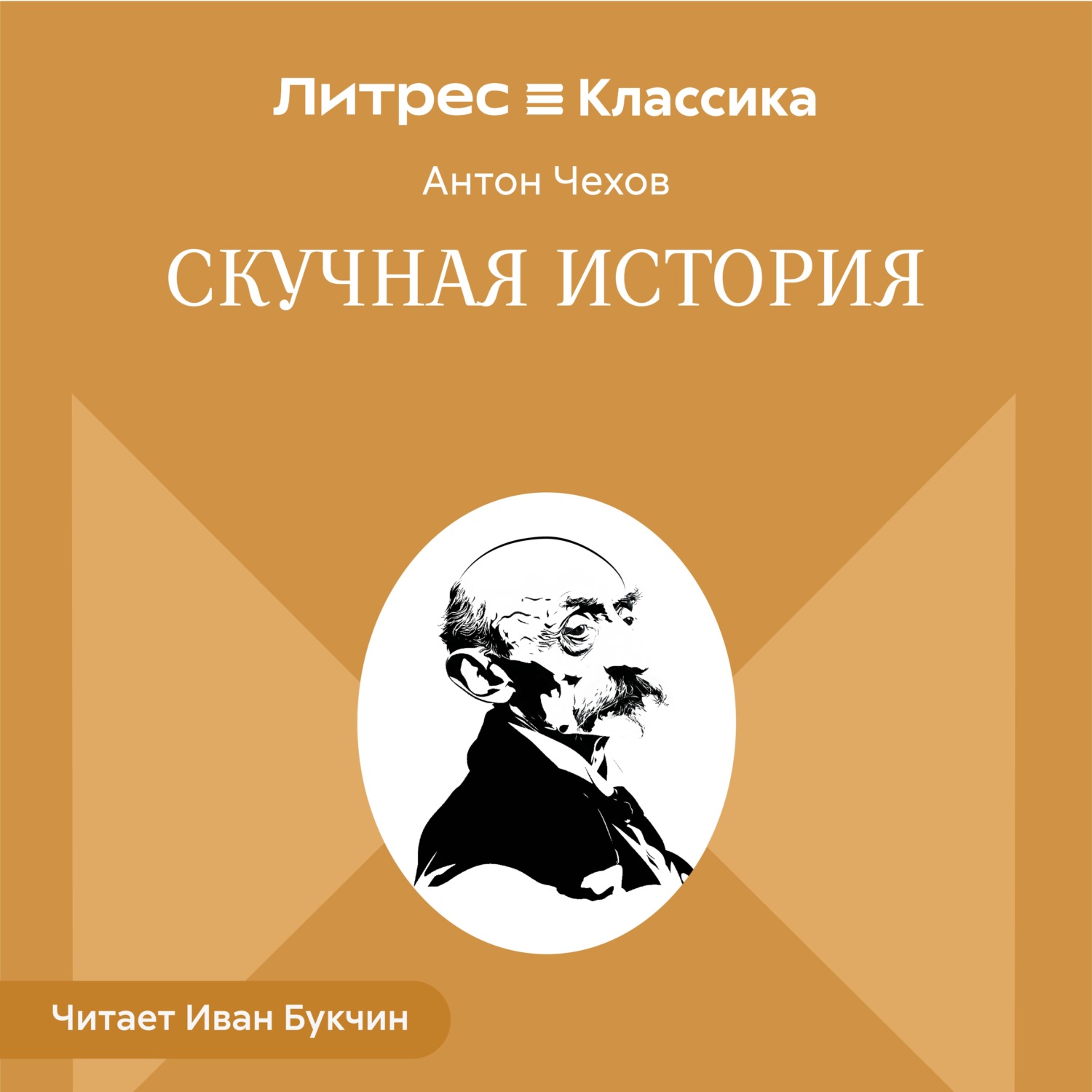 Обложка книги «Скучная история»