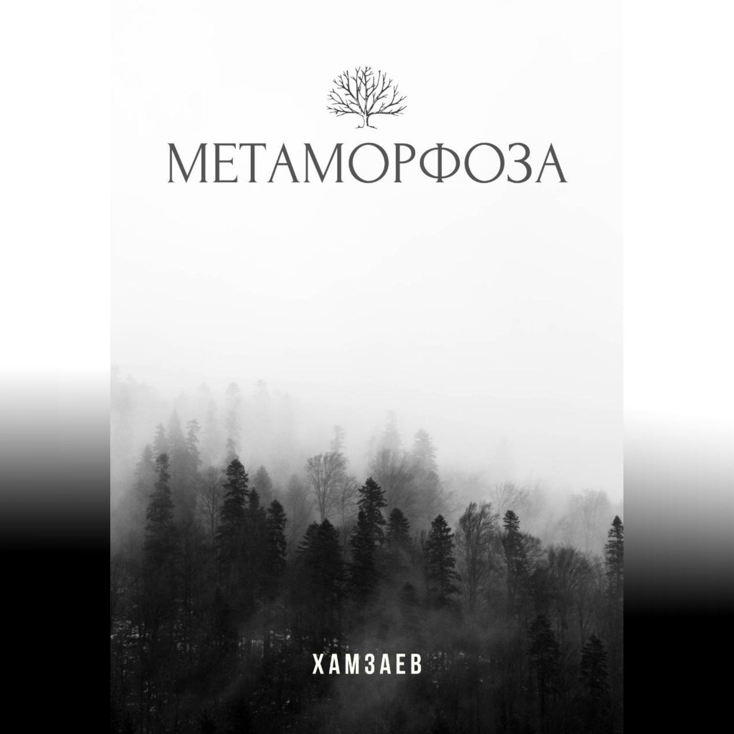 Обложка книги «Метаморфоза»