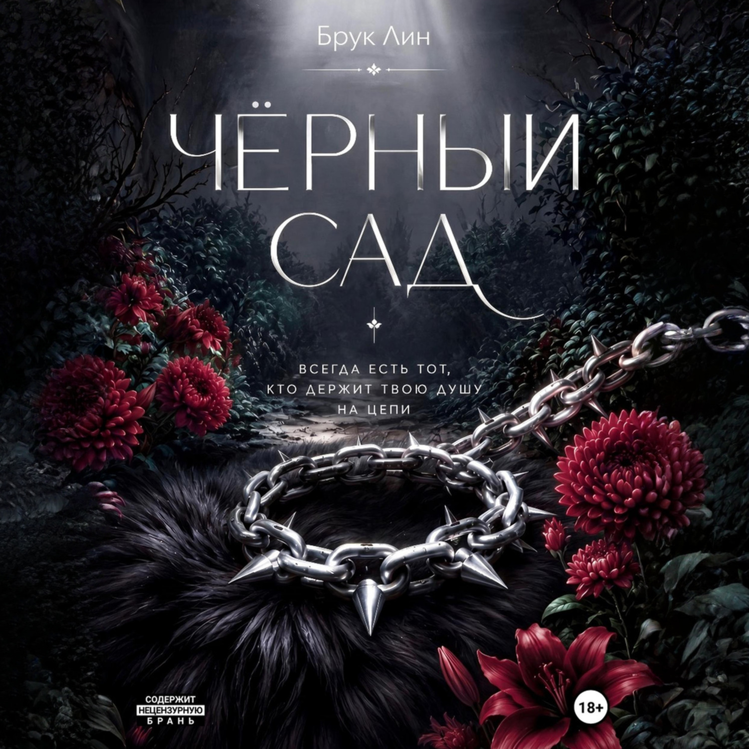 Обложка книги «Чёрный сад»