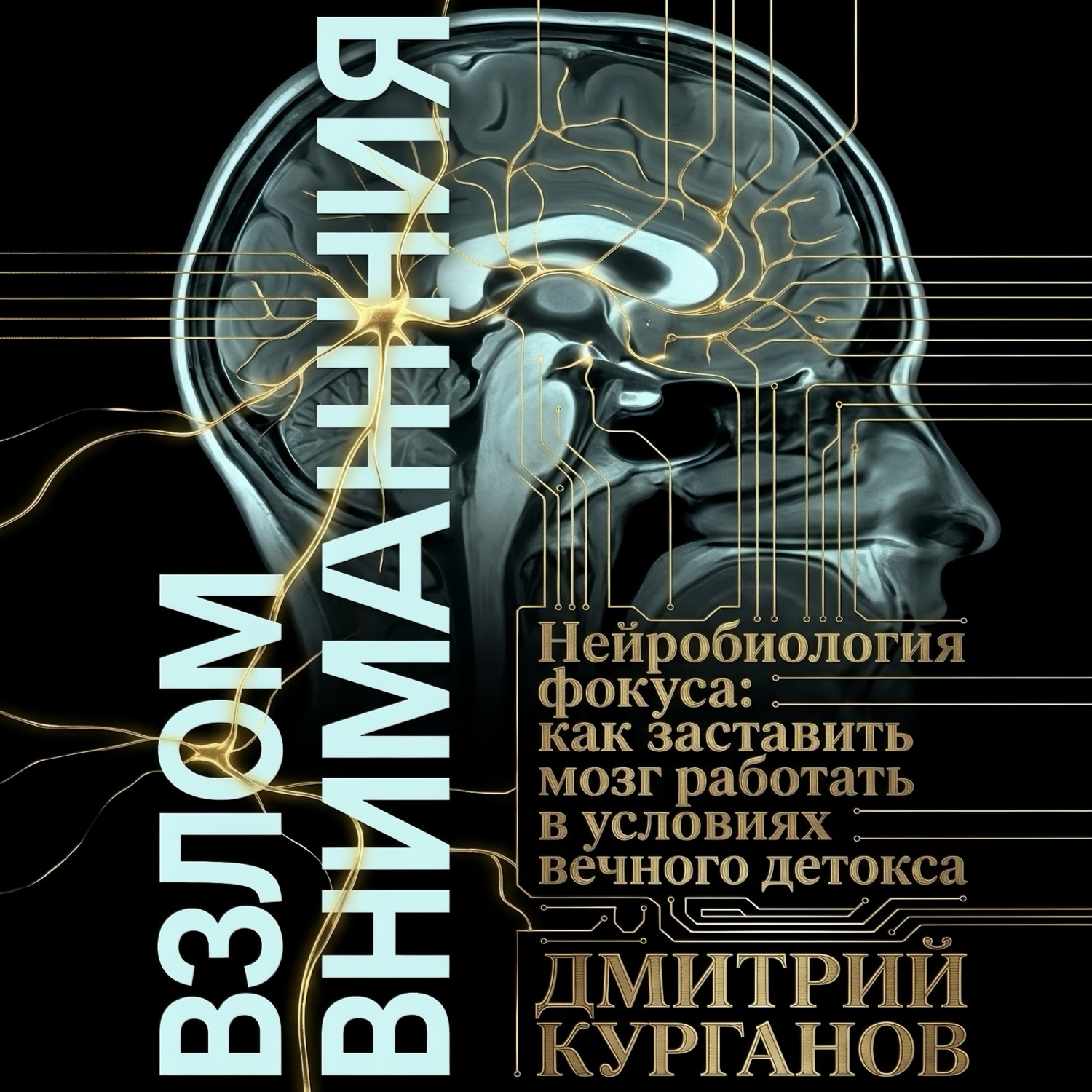 Обложка книги «Взлом внимания. Нейробиология фокуса: как заставить мозг работать в условиях вечного детокса»