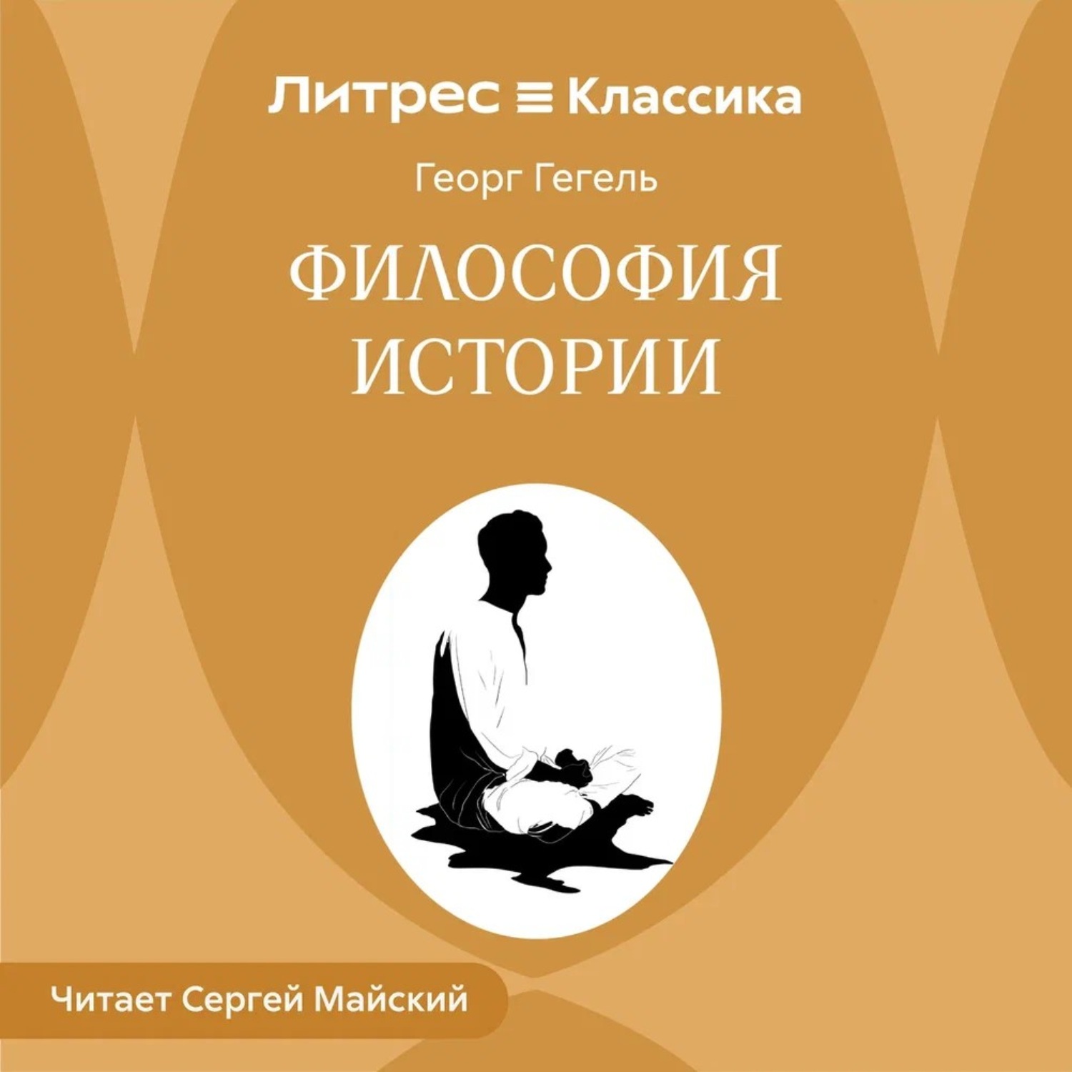 Обложка книги «Философия истории»