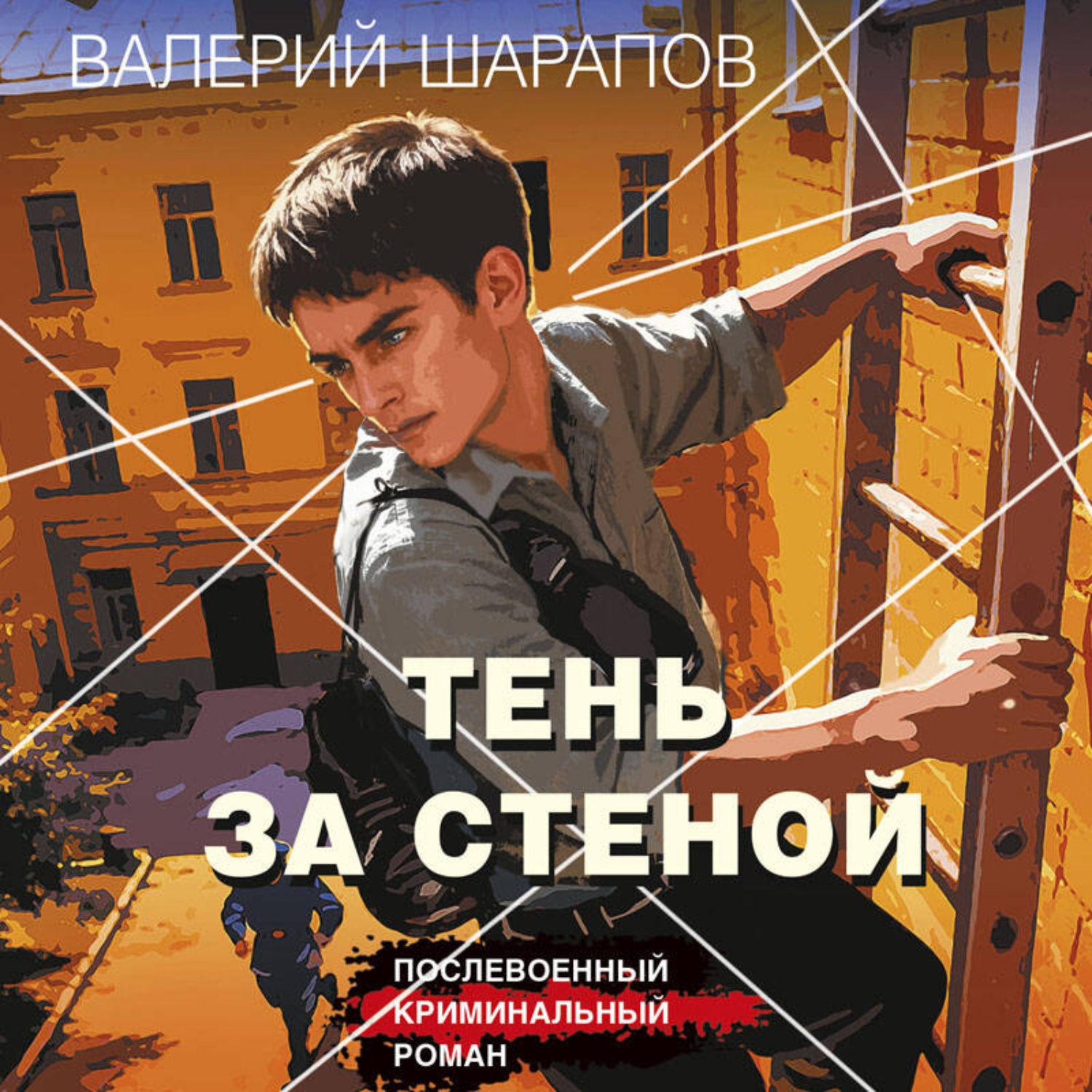 Обложка книги «Тень за стеной»