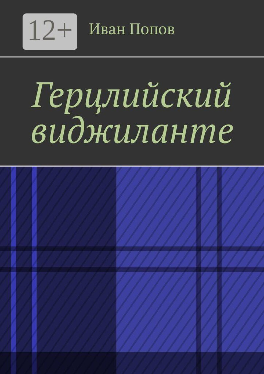 Обложка книги «Герцлийский виджиланте»