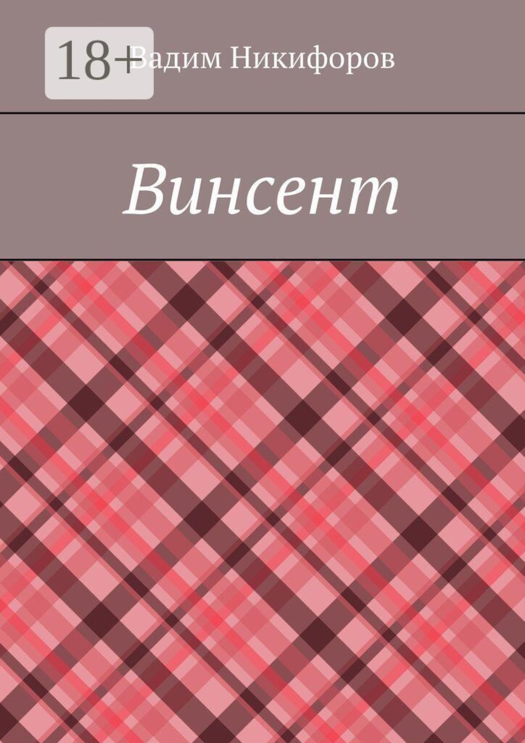 Обложка книги «Винсент»