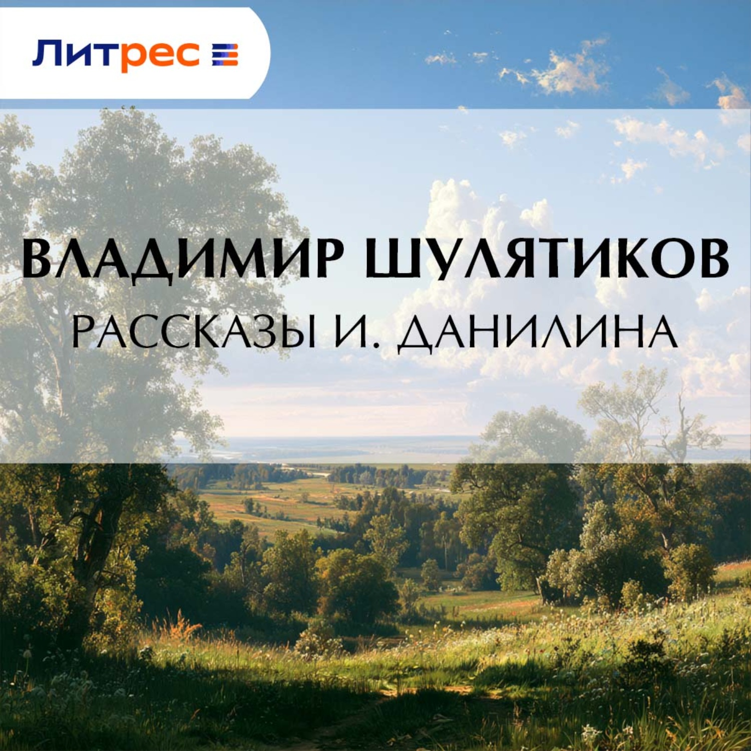Обложка книги «Рассказы И. Данилина»