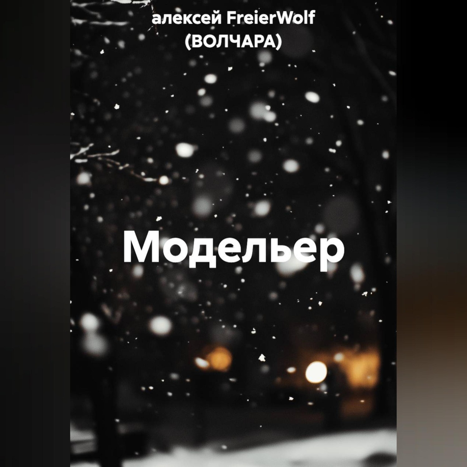 Обложка книги «Модельер»