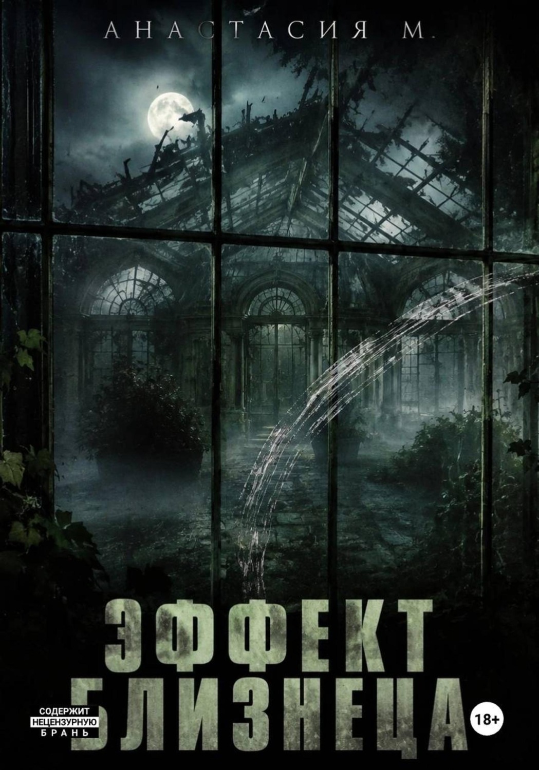 Обложка книги «Эффект близнеца»