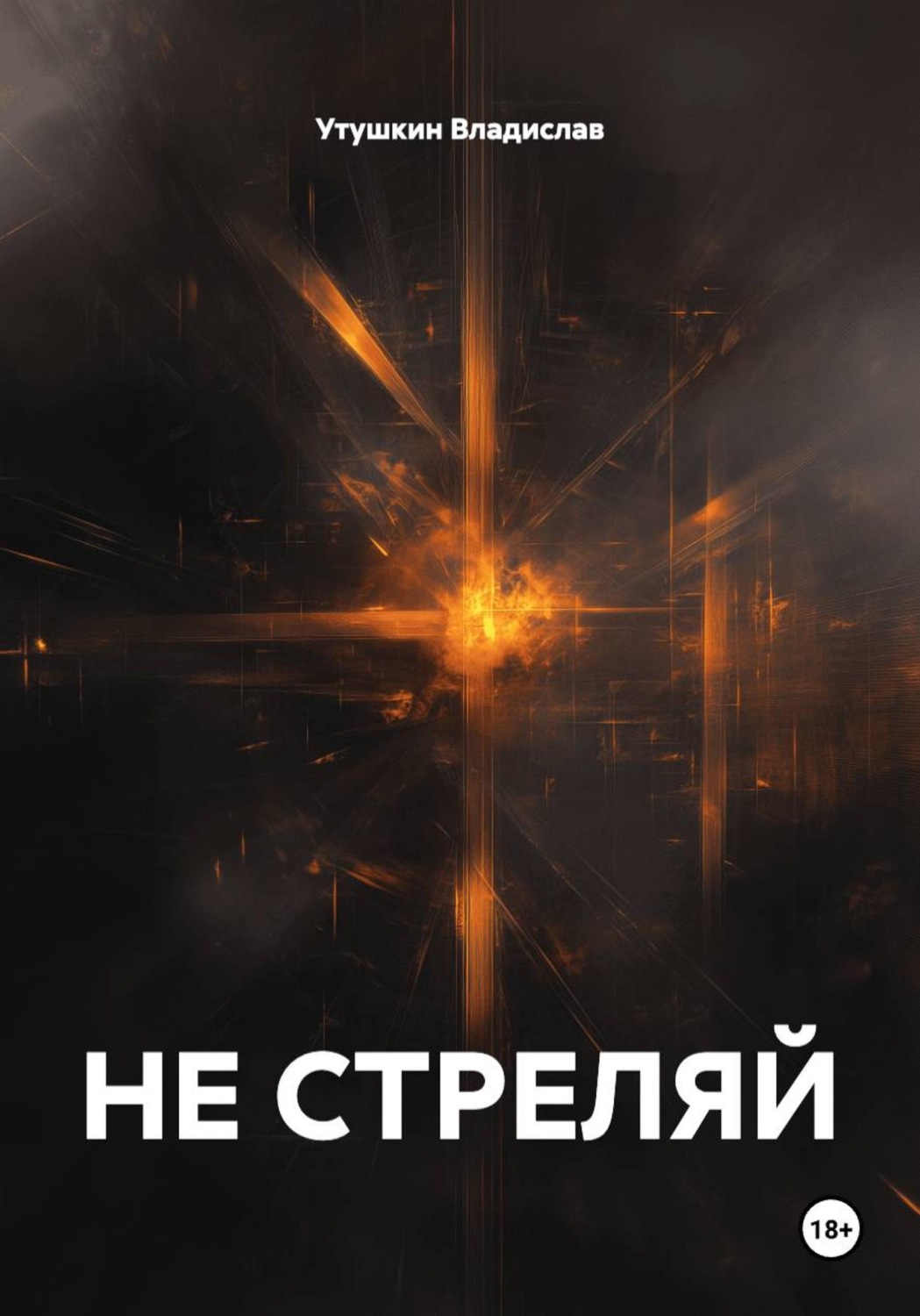 Обложка книги «НЕ СТРЕЛЯЙ»