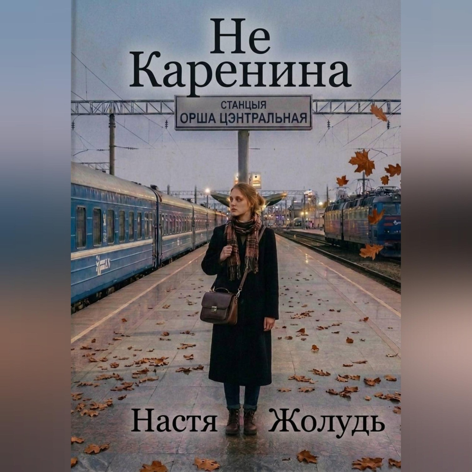 Обложка книги «Не Каренина»