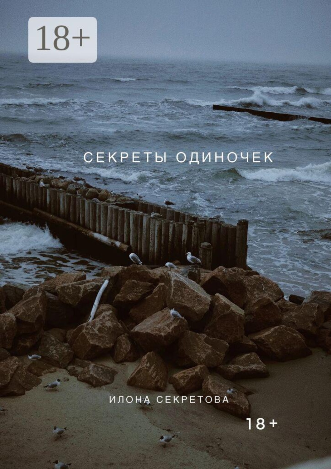 Обложка книги «Секреты одиночек»