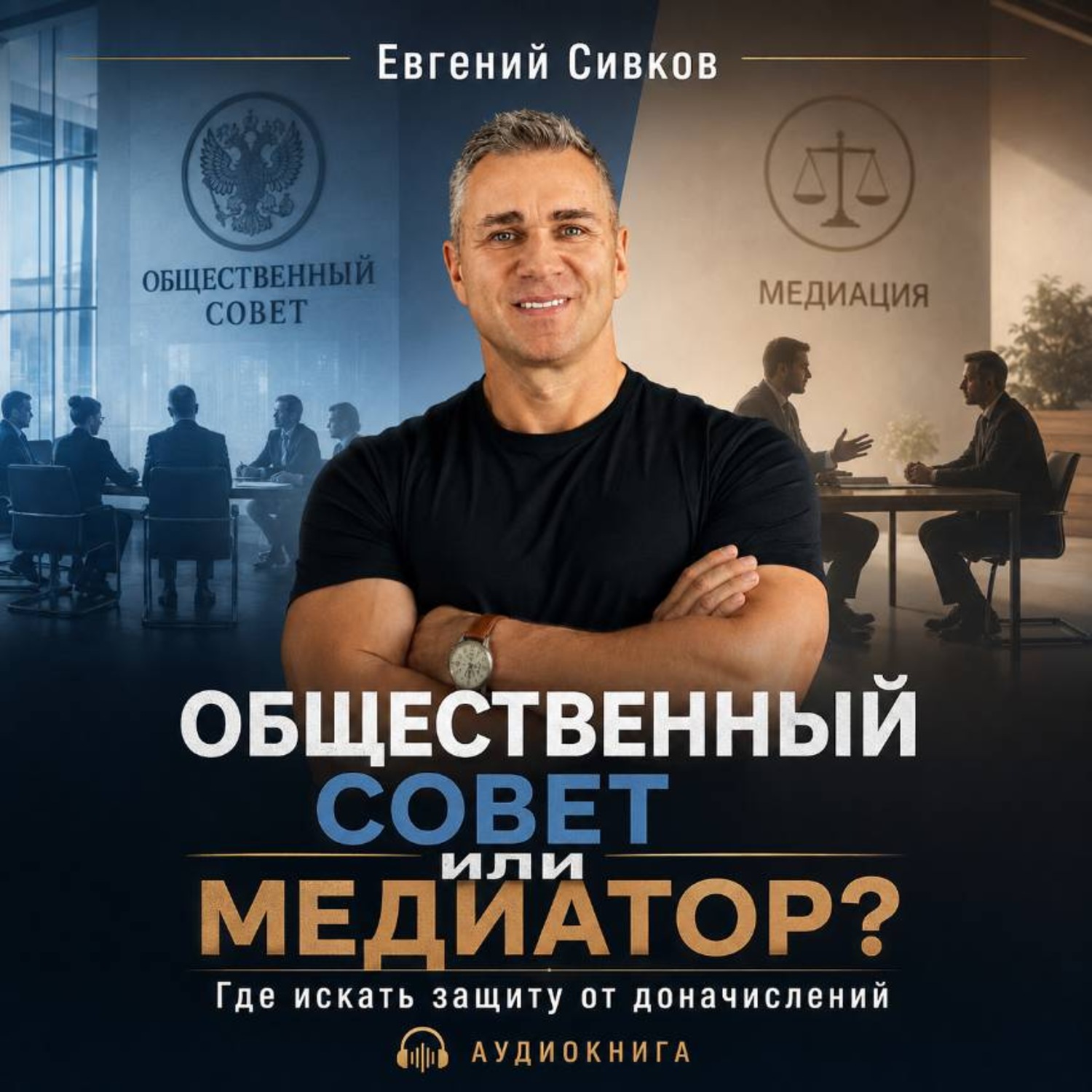 Обложка книги «Общественный совет или медиатор? Где искать защиту от налоговых доначислений»