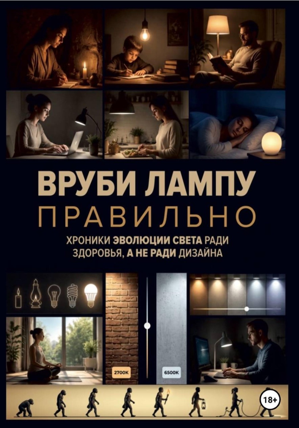 Обложка книги «Вруби лампу правильно»
