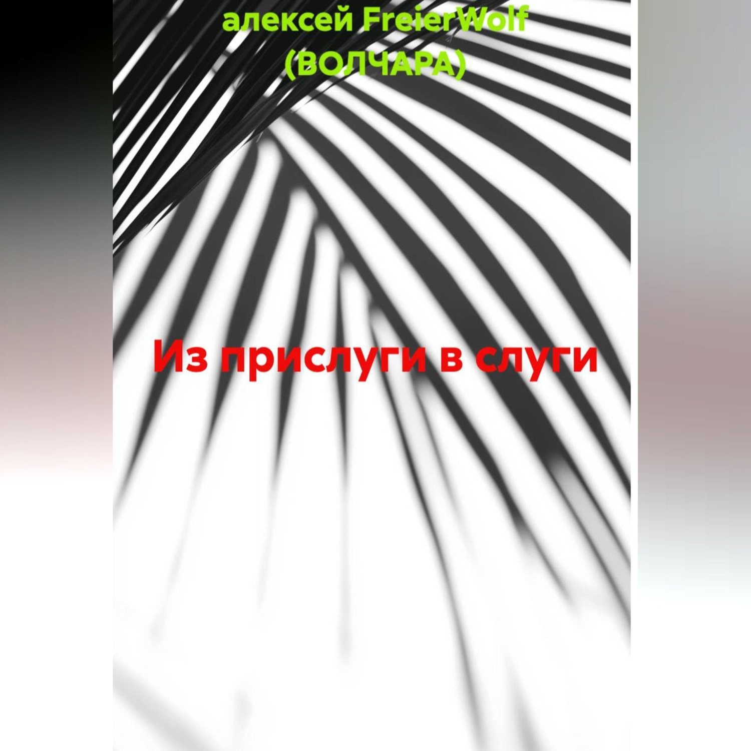 Обложка книги «Из прислуги в слуги»