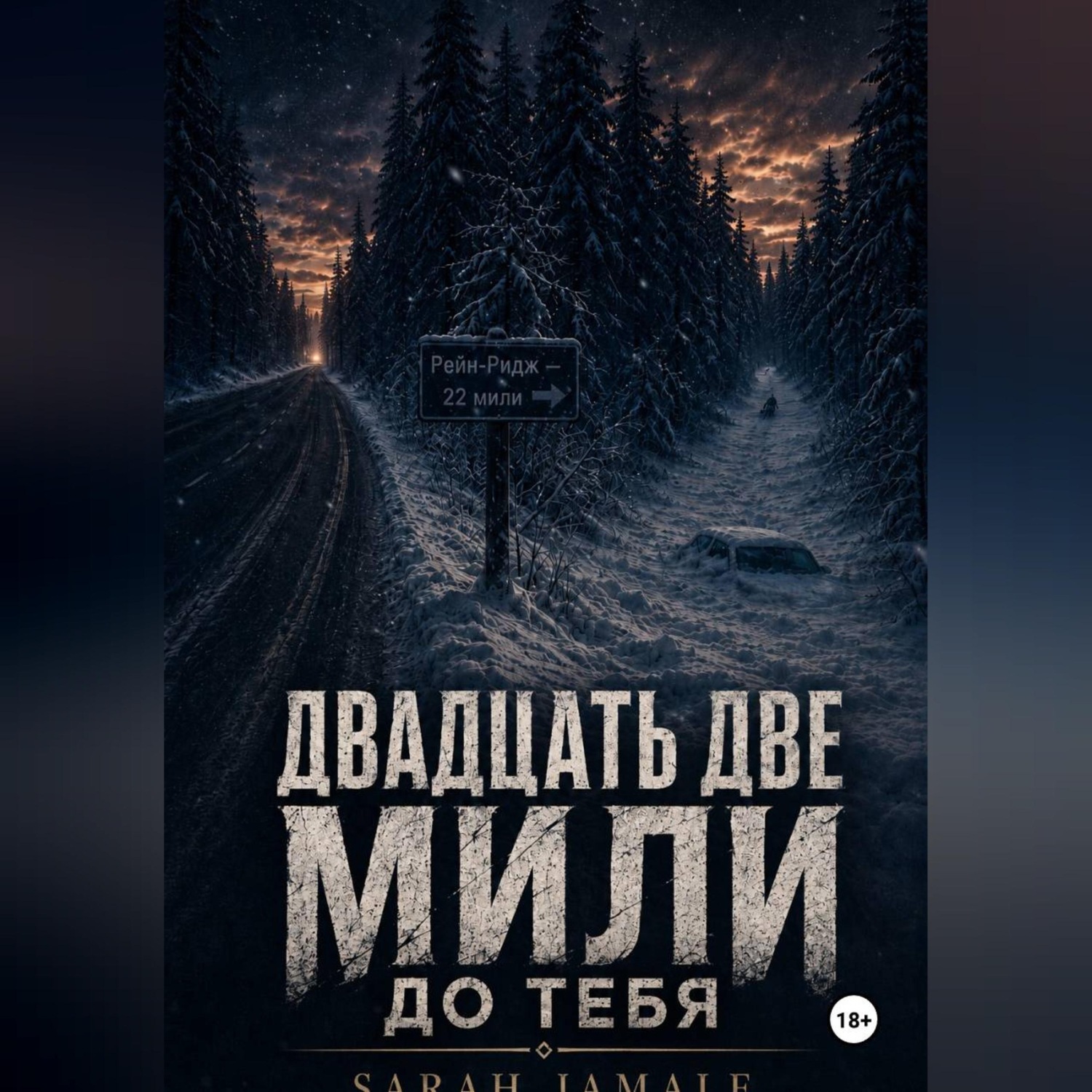 Обложка книги «Двадцать две мили до тебя»