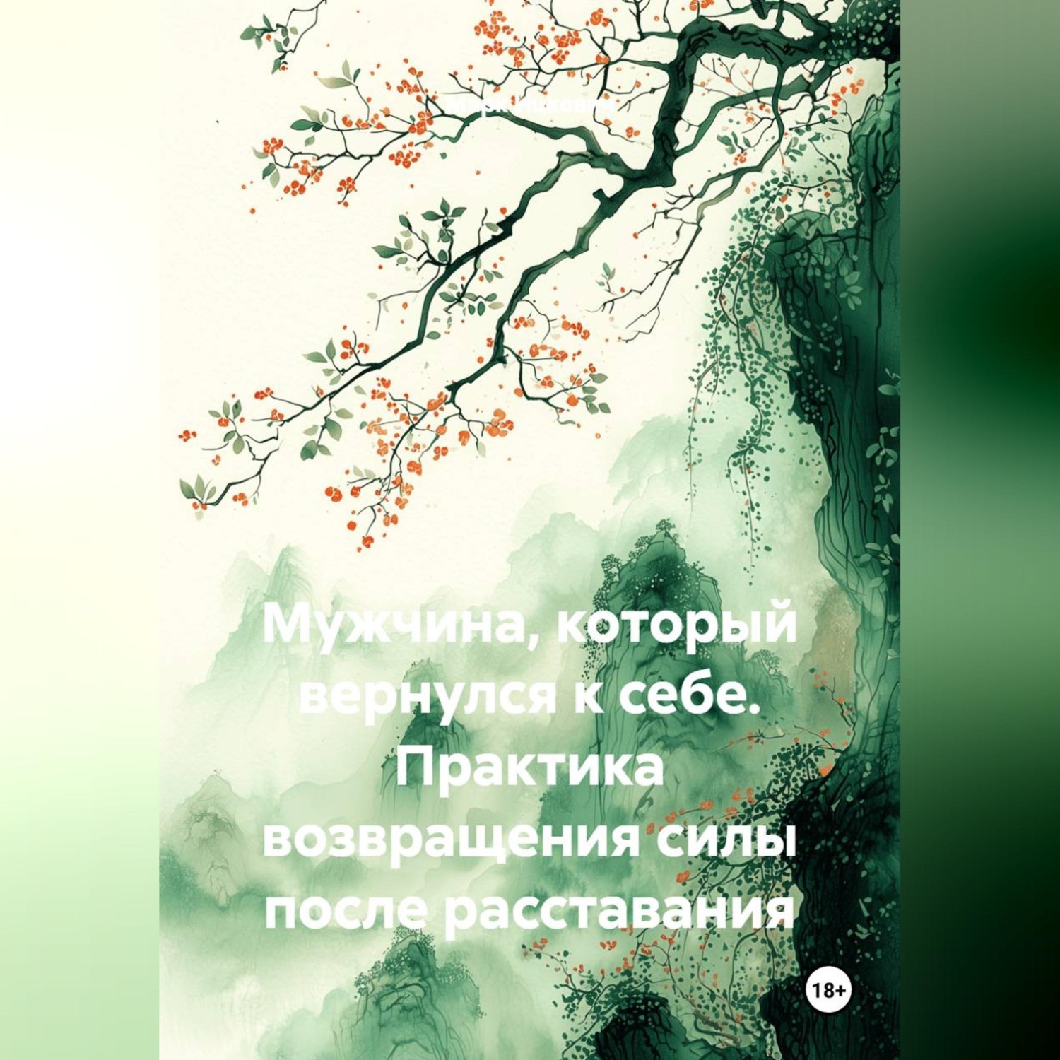 Обложка книги «Мужчина, который вернулся к себе. Практика возвращения силы после расставания»
