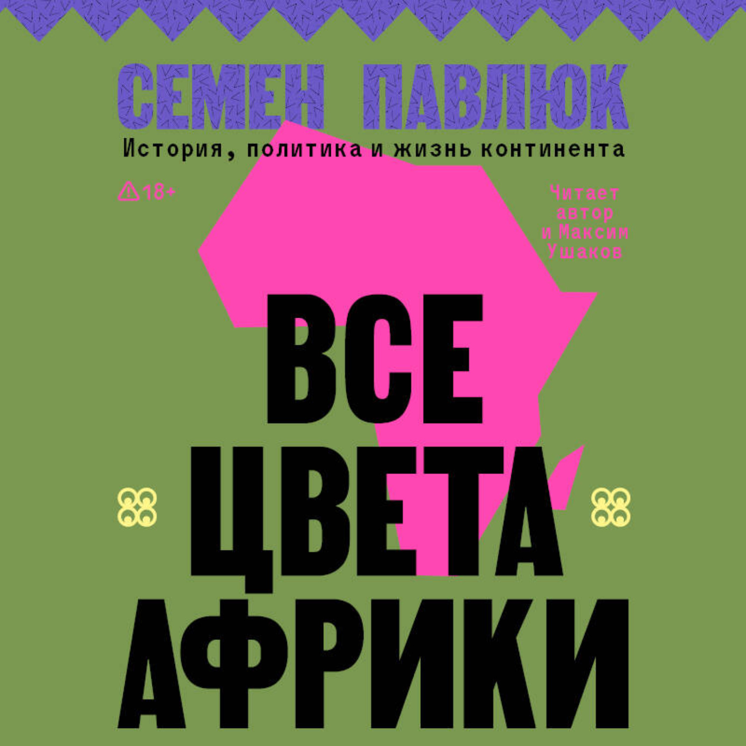 Обложка книги «Все цвета Африки. История, политика и жизнь континента»
