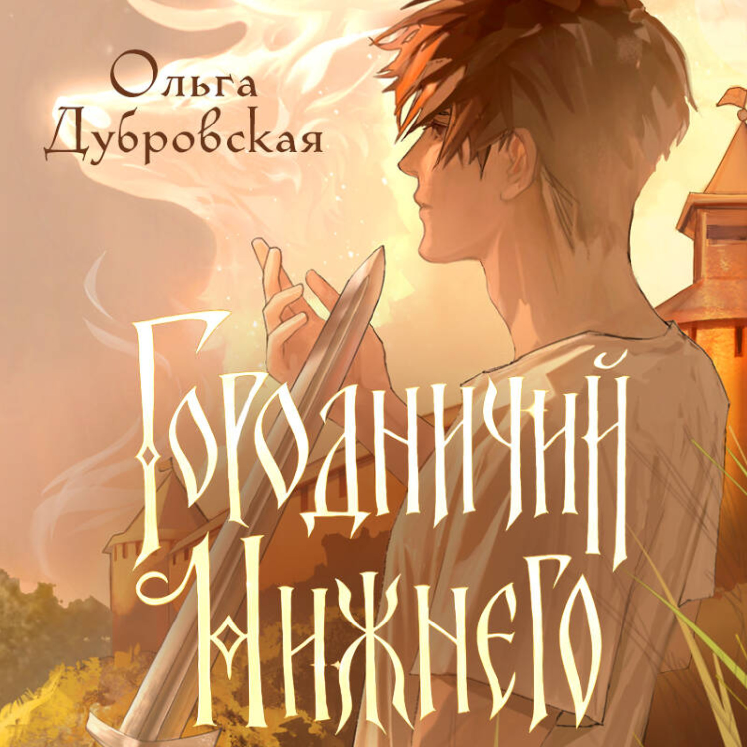 Обложка книги «Городничий Нижнего»