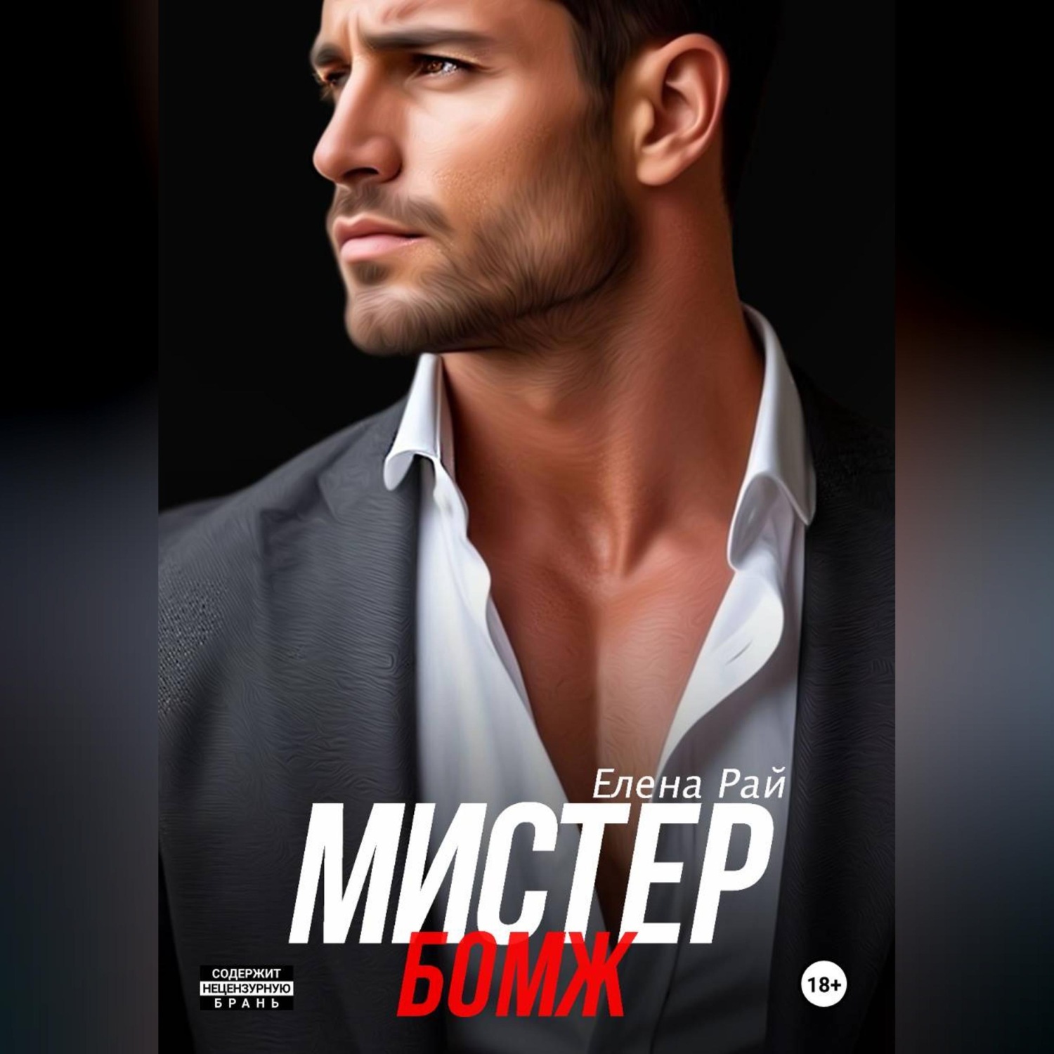 Обложка книги «Мистер Бомж»